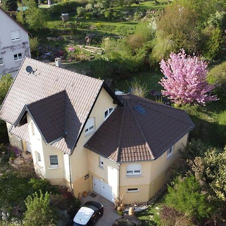Апартаменты Chez Olivier Et Josette Sur Mulhouse Sud Illfurth Экстерьер фото